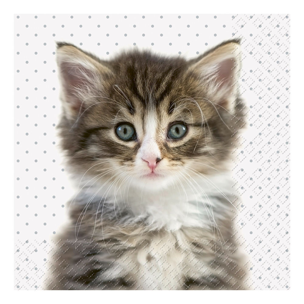 Servietten „Liva“ 33x33cm grau hell