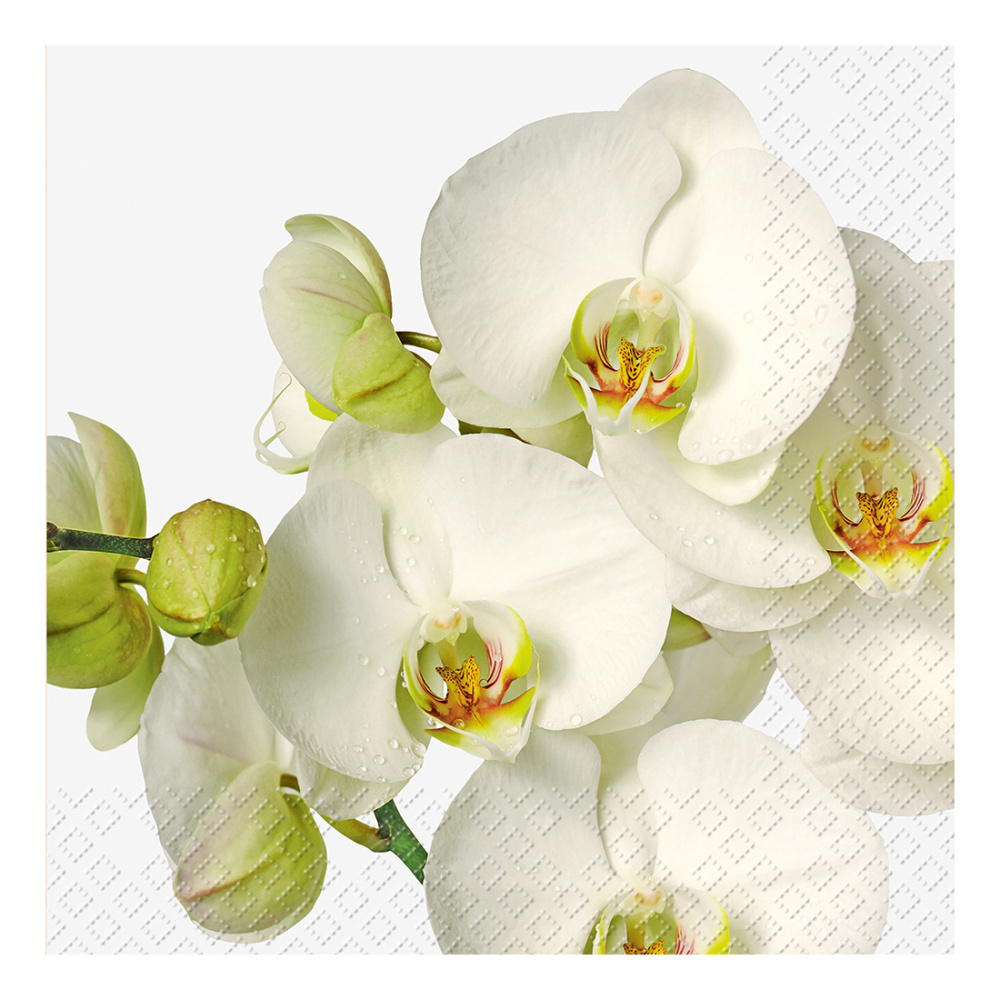 Servietten „Timotea“ 33x33cm weiss